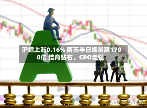 沪指上涨0.16% 两市半日缩量超1700亿 培育钻石	、CRO走强-第2张图片