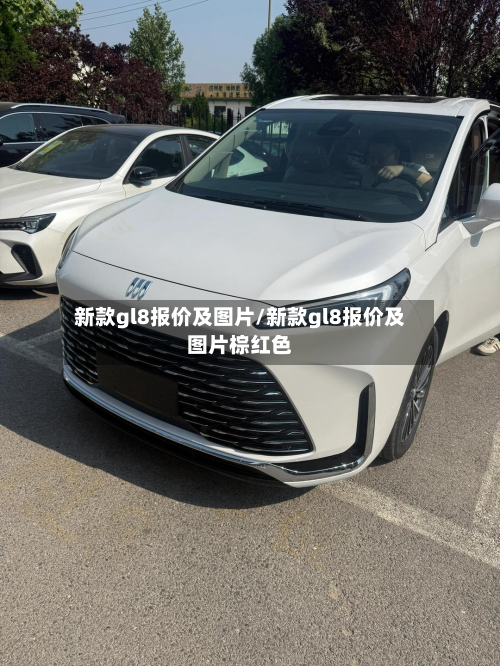 新款gl8报价及图片/新款gl8报价及图片棕红色-第2张图片