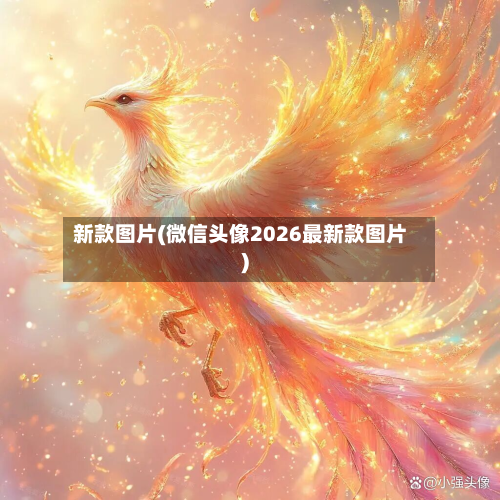 新款图片(微信头像2026最新款图片)-第2张图片