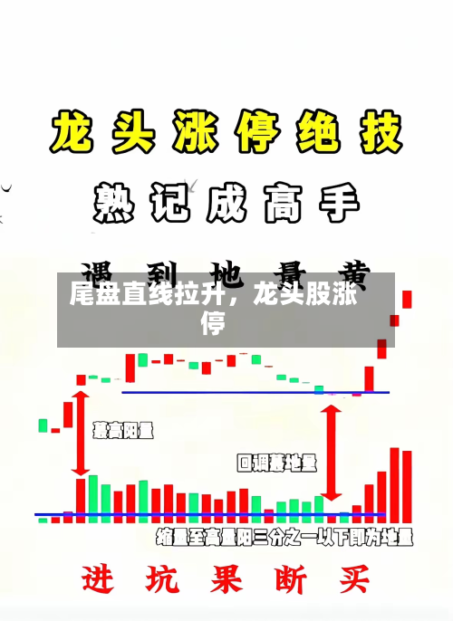 尾盘直线拉升	，龙头股涨停-第2张图片