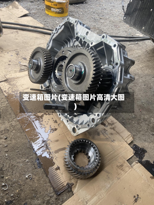 变速箱图片(变速箱图片高清大图)