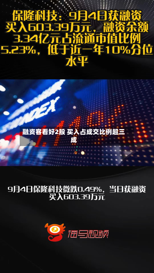 融资客看好2股 买入占成交比例超三成-第2张图片