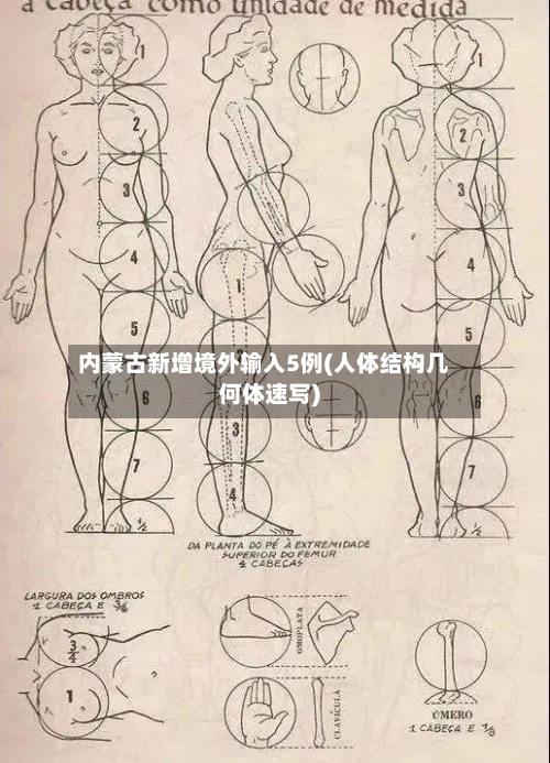 内蒙古新增境外输入5例(人体结构几何体速写)