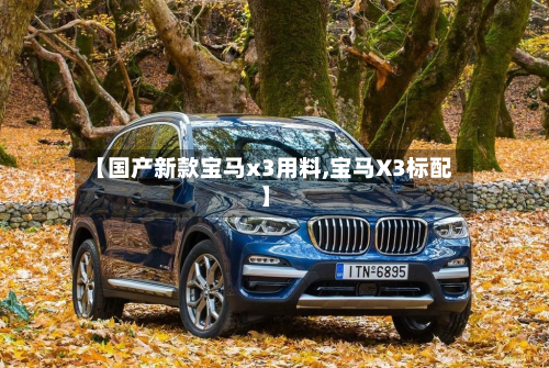 【国产新款宝马x3用料,宝马X3标配】-第2张图片