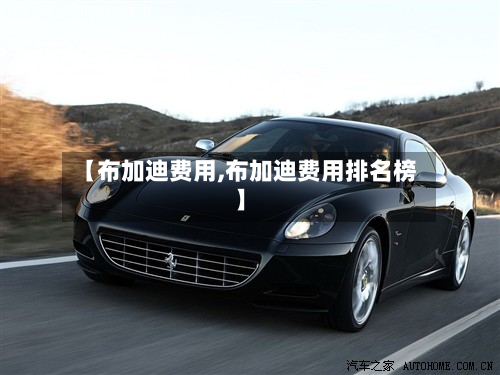 【布加迪费用,布加迪费用排名榜】-第3张图片