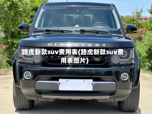 路虎新款suv费用表(路虎新款suv费用表图片)-第3张图片