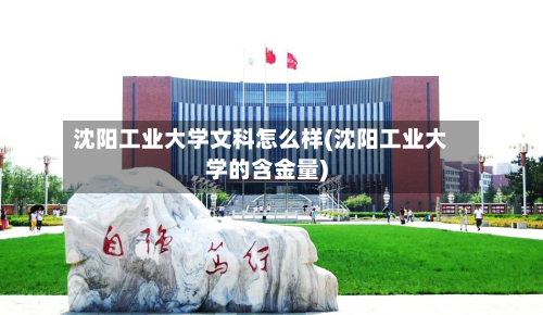 沈阳工业大学文科怎么样(沈阳工业大学的含金量)-第2张图片