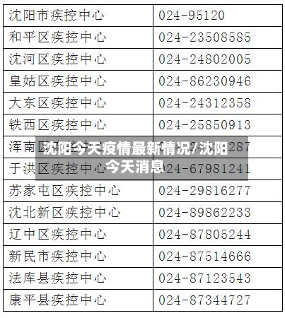 沈阳今天疫情最新情况/沈阳今天消息-第2张图片