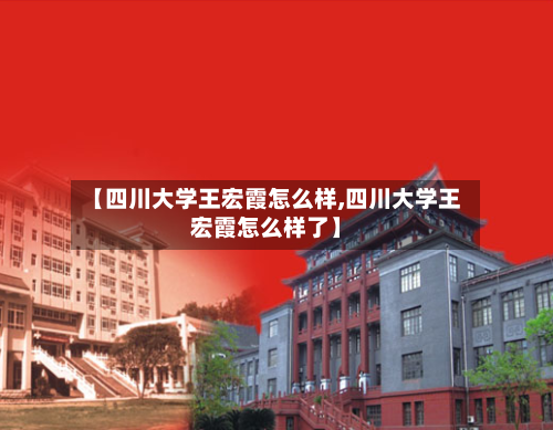 【四川大学王宏霞怎么样,四川大学王宏霞怎么样了】-第2张图片