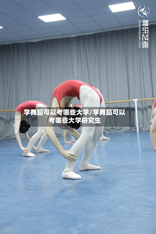 学舞蹈可以考哪些大学/学舞蹈可以考哪些大学研究生-第2张图片