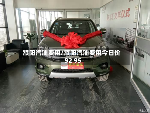 濮阳汽油费用/濮阳汽油费用今日价92 95-第2张图片