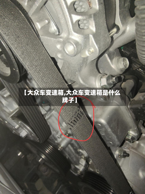 【大众车变速箱,大众车变速箱是什么牌子】-第2张图片