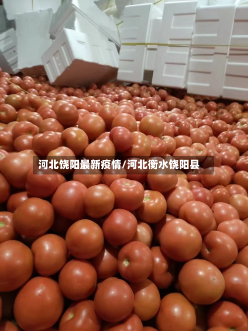 河北饶阳最新疫情/河北衡水饶阳县