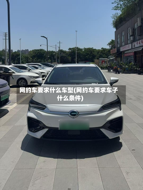 网约车要求什么车型(网约车要求车子什么条件)-第2张图片