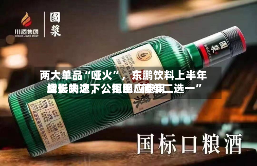 两大单品“哑火”，东鹏饮料上半年增长失速，公司回应费用战影响之下	，拒绝“简单二选一”-第3张图片