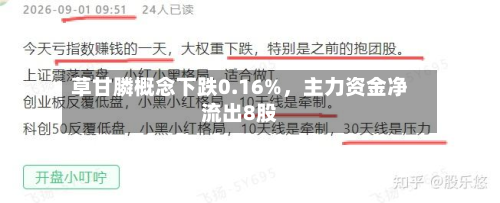 草甘膦概念下跌0.16%，主力资金净流出8股