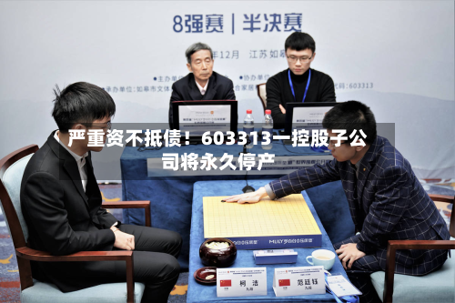 严重资不抵债！603313一控股子公司将永久停产