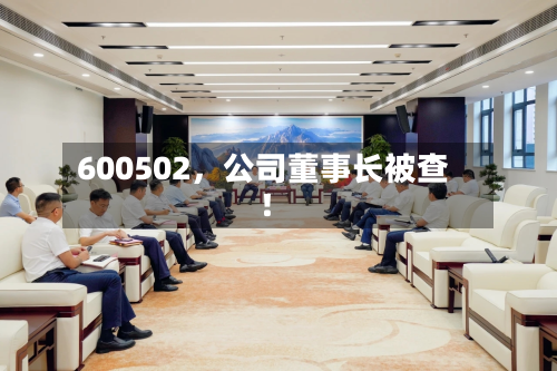 600502，公司董事长被查！-第3张图片