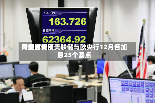 荷兰世界：能源费用冲击或促使美联储与欧央行12月各加息25个基点-第3张图片