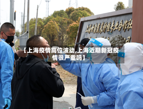 【上海疫情高位波动,上海近期新冠疫情很严重吗】-第3张图片