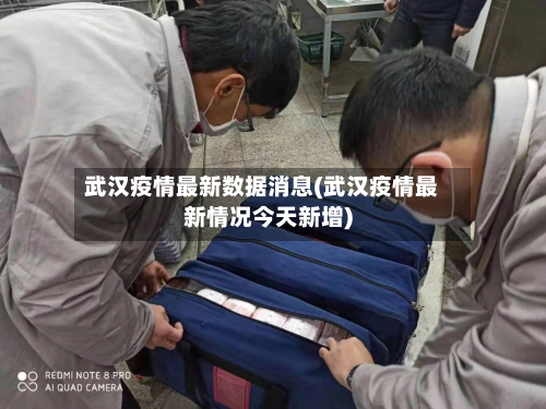 武汉疫情最新数据消息(武汉疫情最新情况今天新增)
