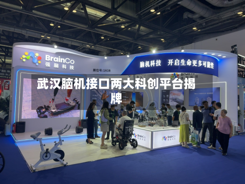 武汉脑机接口两大科创平台揭牌