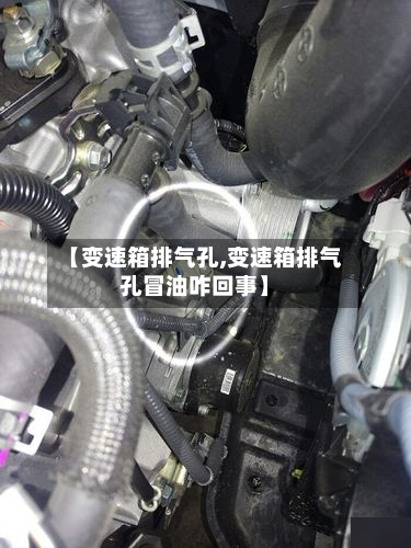 【变速箱排气孔,变速箱排气孔冒油咋回事】