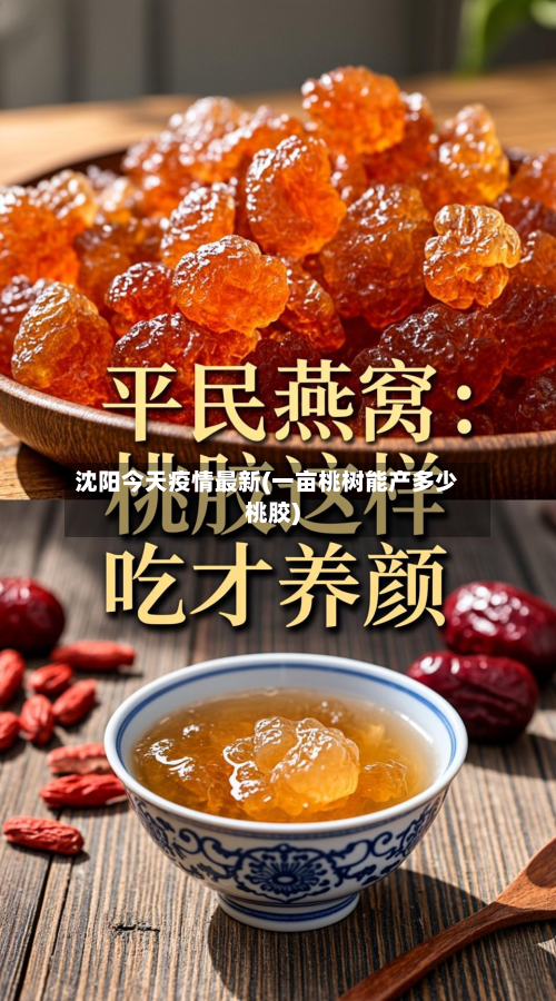 沈阳今天疫情最新(一亩桃树能产多少桃胶)-第3张图片