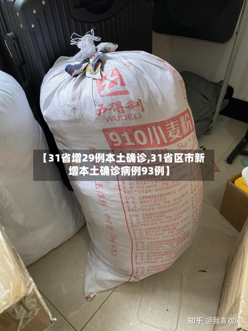 【31省增29例本土确诊,31省区市新增本土确诊病例93例】-第3张图片