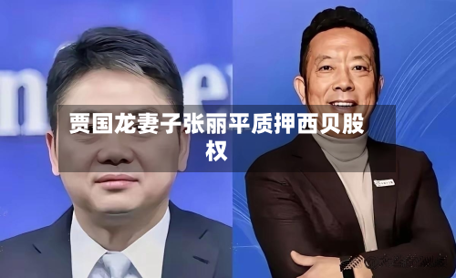 贾国龙妻子张丽平质押西贝股权