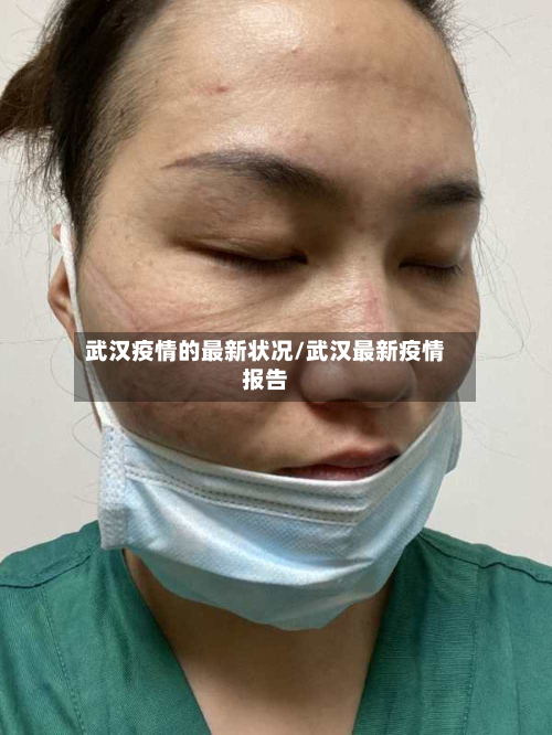武汉疫情的最新状况/武汉最新疫情报告-第2张图片