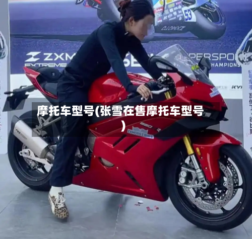 摩托车型号(张雪在售摩托车型号)