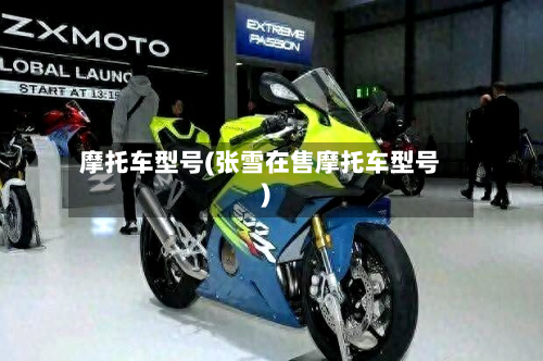 摩托车型号(张雪在售摩托车型号)-第2张图片