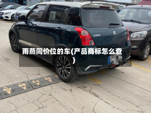 雨燕同价位的车(产品商标怎么查)-第2张图片