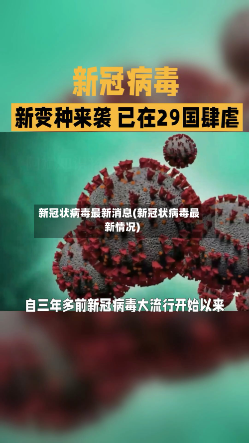 新冠状病毒最新消息(新冠状病毒最新情况)-第2张图片
