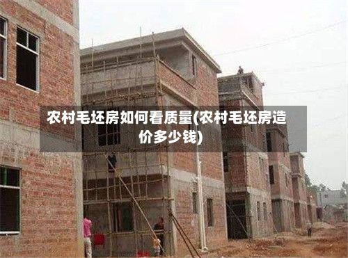 农村毛坯房如何看质量(农村毛坯房造价多少钱)-第2张图片