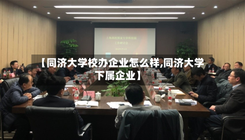 【同济大学校办企业怎么样,同济大学下属企业】