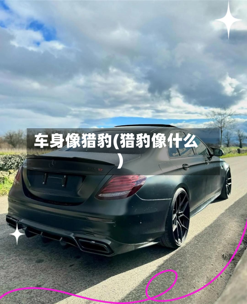 车身像猎豹(猎豹像什么)-第2张图片