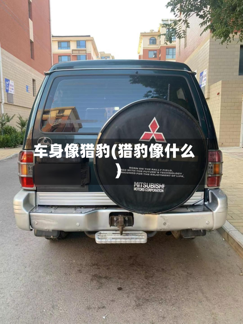 车身像猎豹(猎豹像什么)-第3张图片