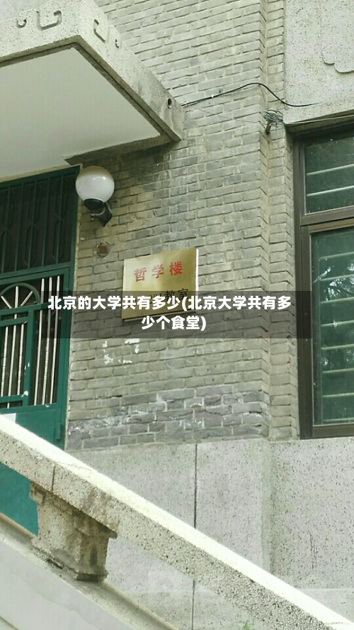 北京的大学共有多少(北京大学共有多少个食堂)-第3张图片