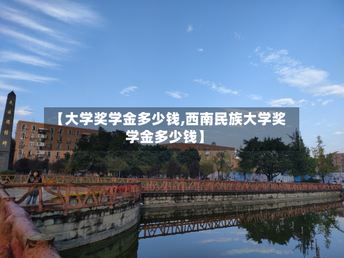 【大学奖学金多少钱,西南民族大学奖学金多少钱】-第3张图片