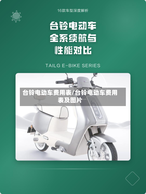 台铃电动车费用表/台铃电动车费用表及图片-第2张图片