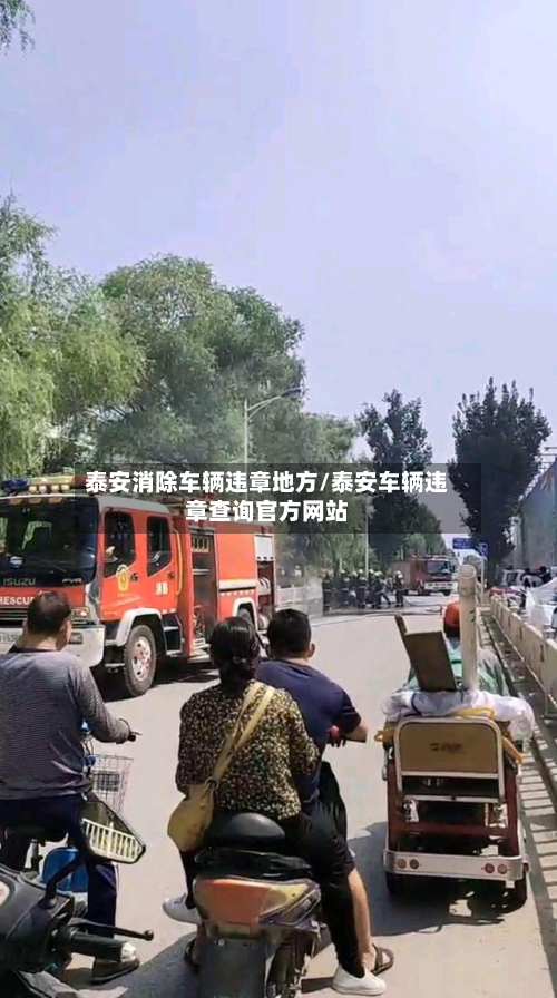 泰安消除车辆违章地方/泰安车辆违章查询官方网站-第2张图片