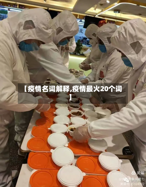 【疫情名词解释,疫情最火20个词】