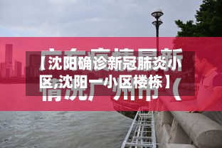 【沈阳确诊新冠肺炎小区,沈阳一小区楼栋】-第3张图片