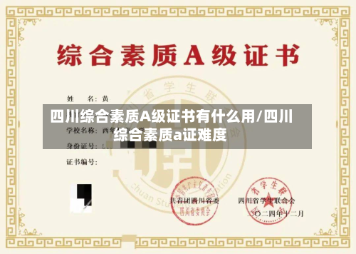 四川综合素质A级证书有什么用/四川综合素质a证难度-第2张图片