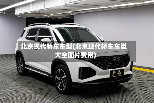 北京现代轿车车型(北京现代轿车车型大全图片费用)-第3张图片