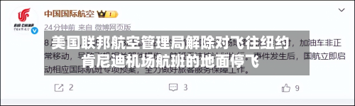 美国联邦航空管理局解除对飞往纽约肯尼迪机场航班的地面停飞
