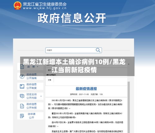 黑龙江新增本土确诊病例10例/黑龙江当前新冠疫情-第2张图片