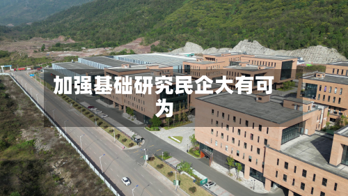加强基础研究民企大有可为-第3张图片